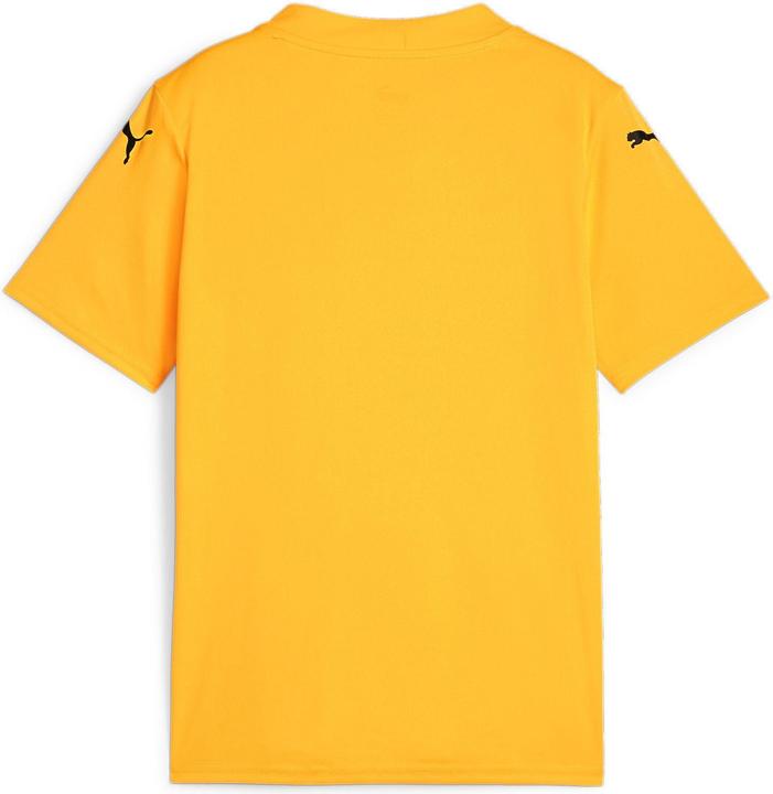Produktbild Puma teamGLORY Jersey Jr (116)