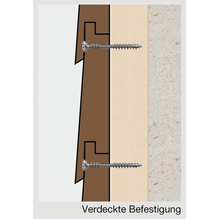 Produktbild Spax Fassadenschraube A2 Linsensenkkopf 8mm Fraesrippen T-Star Plus T20 Fixiergewinde 4cut (100 Schrauben pro Stück)