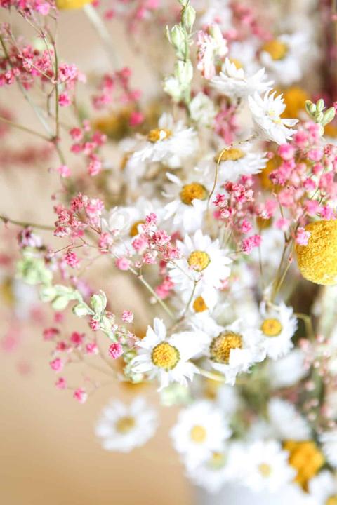 Image du produit la fleur douce Joyeux (Fleurs séchées)
