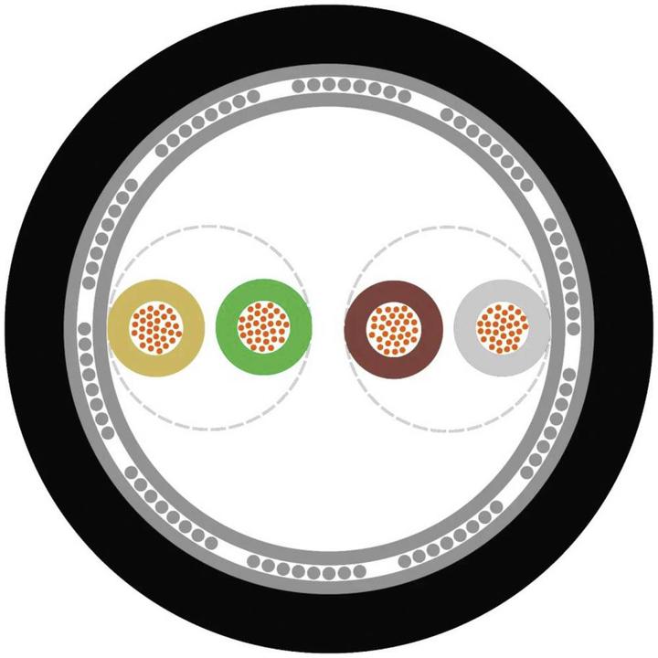 Image du produit Lapp Câble de données (100 m)