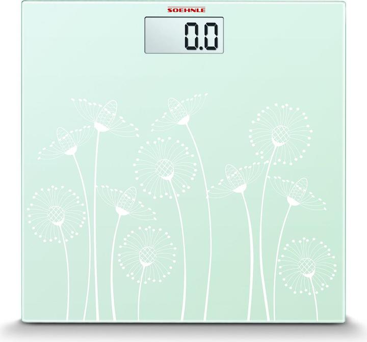 Actual product image Soehnle Frosted and Frozen (180 kg)