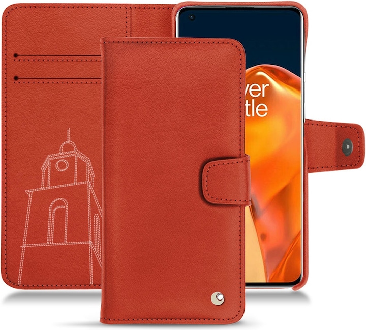 Arange clouquié ( Pantone #D33108 )