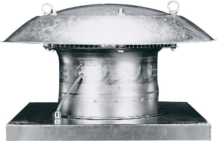 Actual product image Maico MAI DZD 35/2 B E Ex e axial roof fan