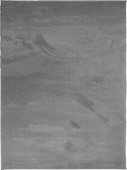 Immagine prodotto vidaXL Teppich (240 x 340 cm)