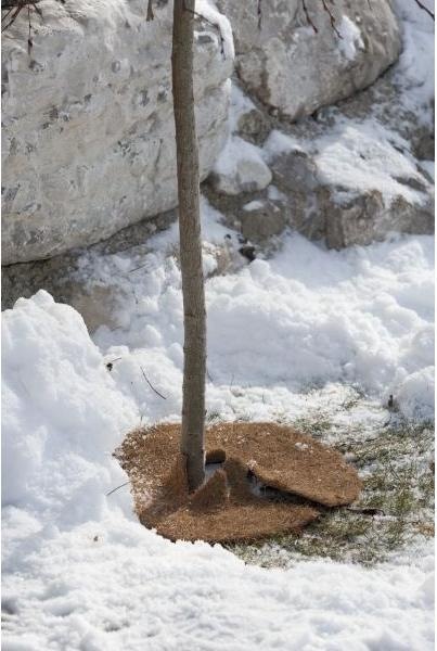 Produktbild Windhager Mulchscheibe Cocodisc