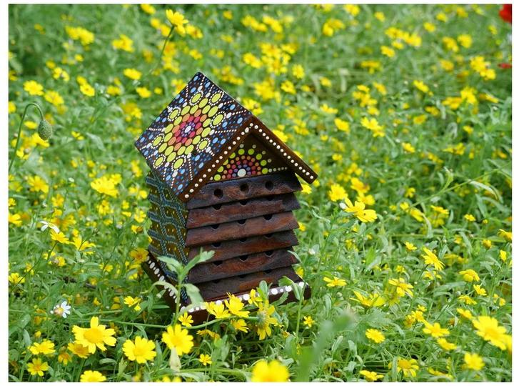 Image du produit Wildlife World Ruche "Bali (Abeilles sauvages)