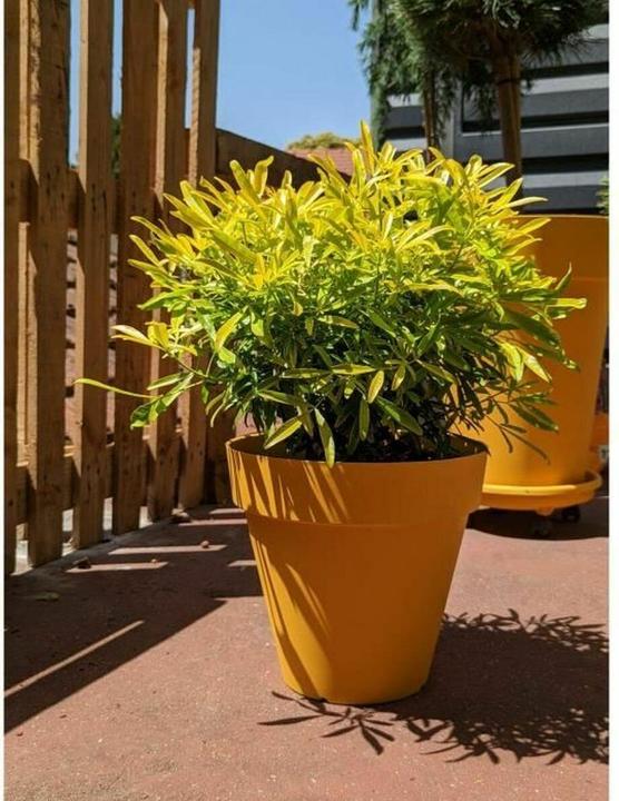 Produktbild Riviera Blumentopf Ø 60 cm