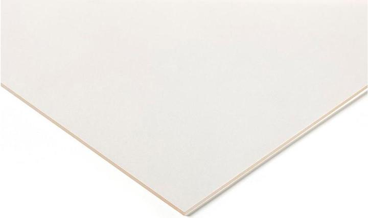 Immagine prodotto Rs Pro lastra acrilica trasparente 500x400x6mm