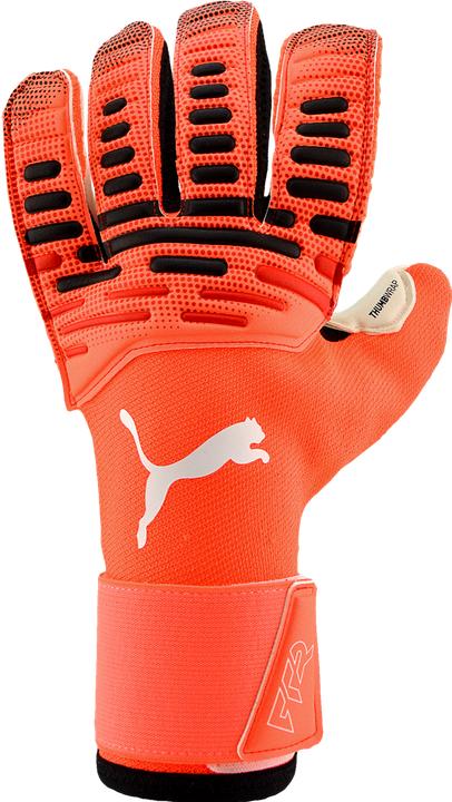 Produktbild Puma FUTURE Pro Hybrid (9.5)