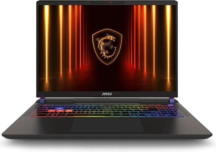 Productafbeelding MSI Vector/16 HX AI A2XWHG-446XCZ/U9-275HX/16"/2560x1600/32GB/1TB/RTX 5070Ti/DOS/Grijs/2R (16", 1000 GB, 32 GB, DE)