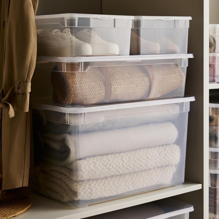 Image du produit Rotho Clair (36 x 26 x 14 cm, 10 l)