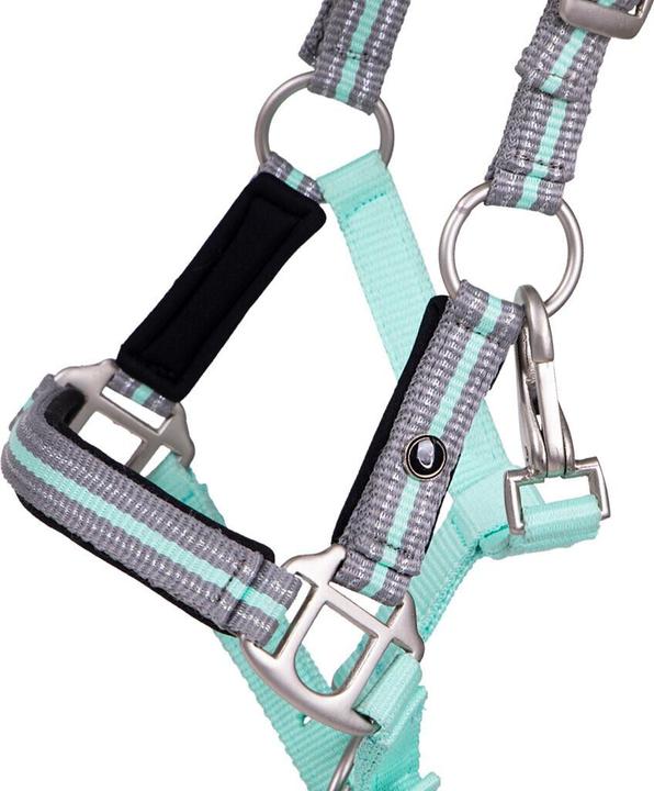 Immagine prodotto Qhp Cavezza per puledro con fascia per le sopracciglia