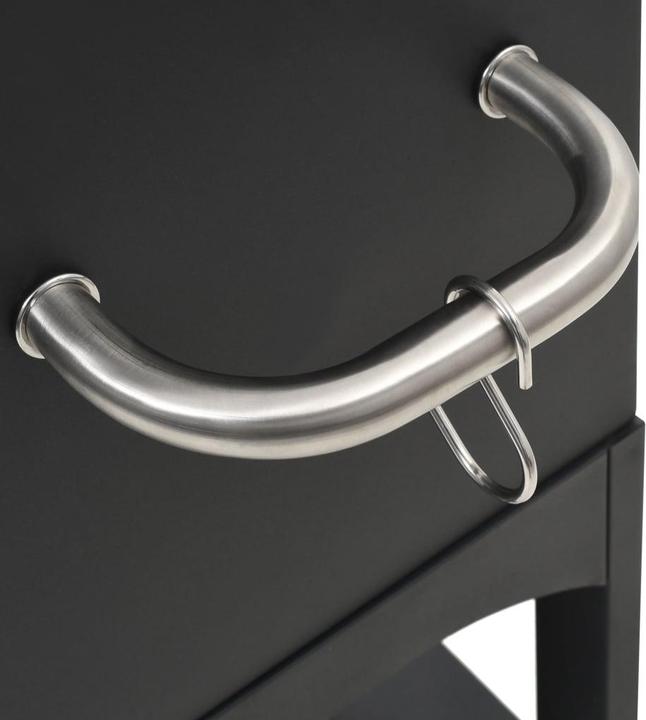 Actual product image vidaXL Pizzaofen mit Schamottstein (Pizza oven wood)