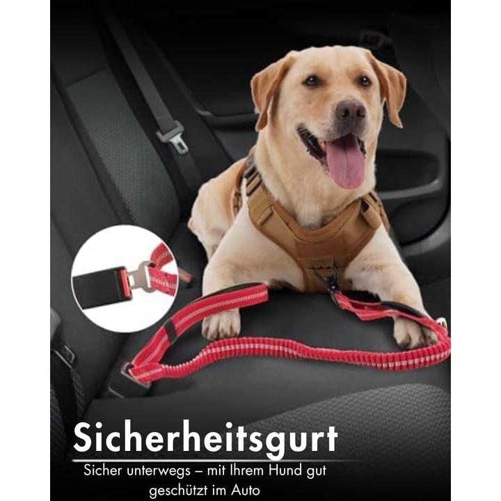 Produktbild Suba Hundeleine mit Sicherheitsgurt (Hund, Allgemein)