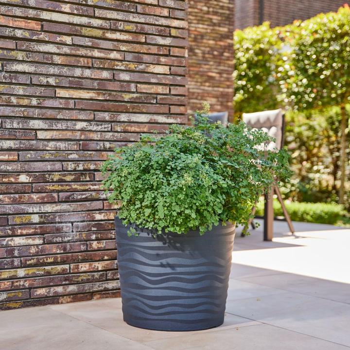 Produktbild Siena Garden Madrid (50 cm)