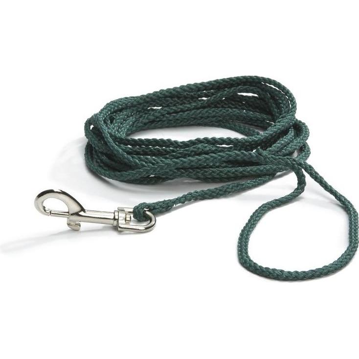 Beeztees Bz Nylonfeldleine Gruen Im Bli (Hund, Allgemein), Halsband + Leine