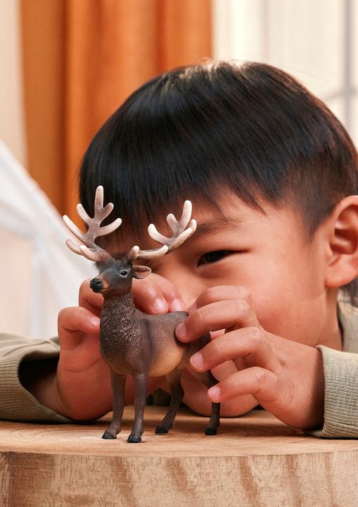 Image du produit Schleich Amerikanischer Rothirsch