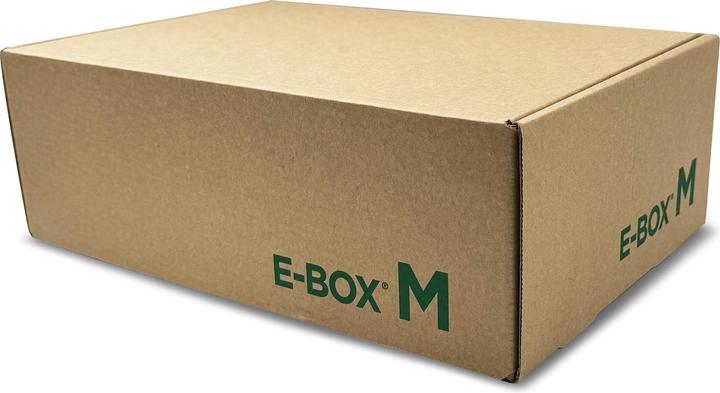 Actual product image Blasetti Pack 10 E-Boxes M (36 cm, 10x)