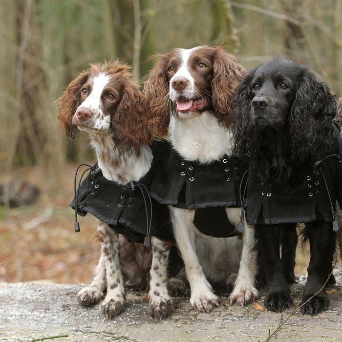 Produktbild Back on Track suprême 21 cm (Hundemantel)