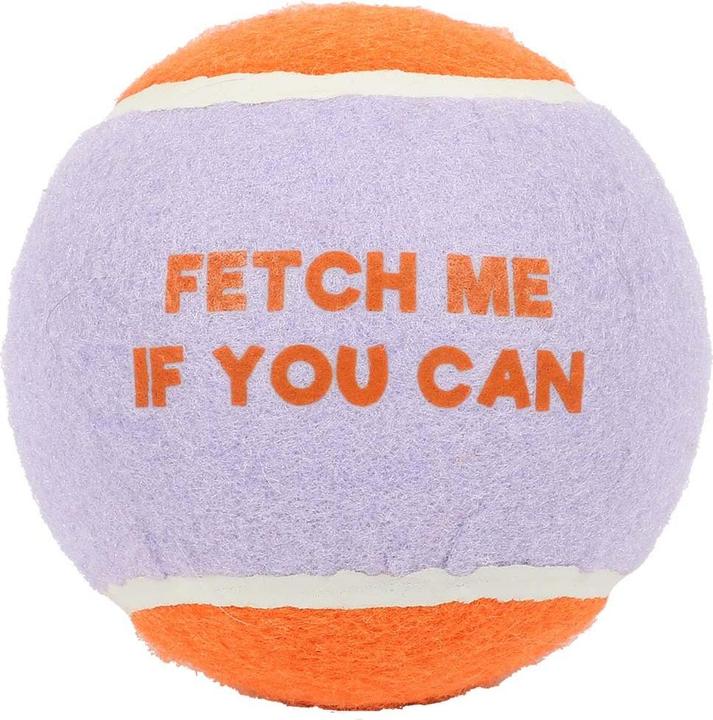 Immagine prodotto Coockoo Ball Fetch Me XL