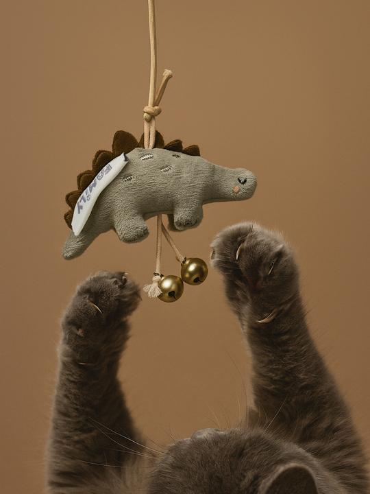 Produktbild Vertbaudet Katzenangel mit Dinosaurier-Spielzeug (Spielangel Katze)