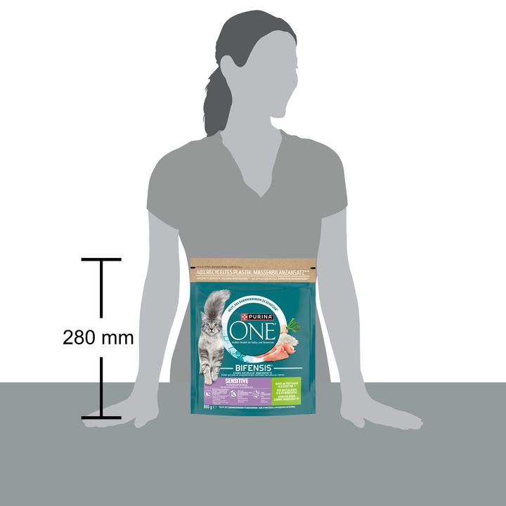Actual product image Purina ONE Sensitive turkey and rice (Adult, Senior, 1 pcs., 800 g)