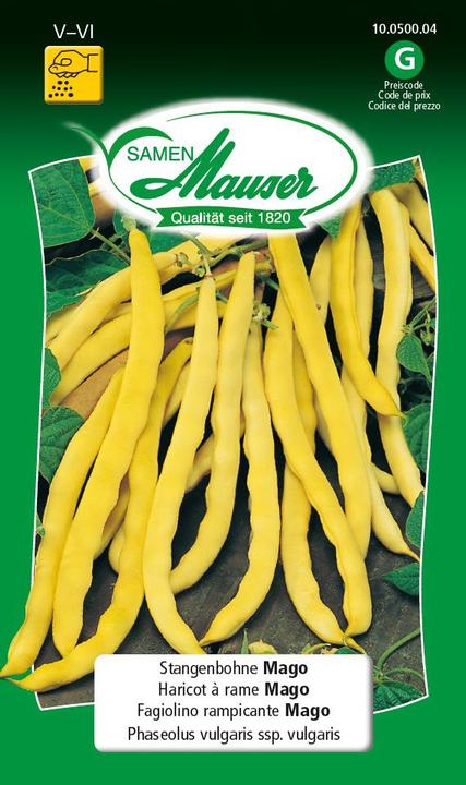 Actual product image Samen Mauser Runner bean Mago (Vegetable seeds)