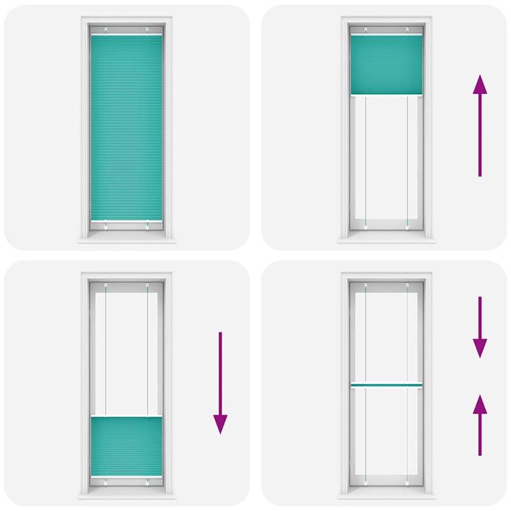 Image du produit vidaXL Plissee (80 x 200 cm)