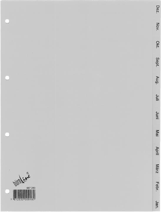 Image du produit BüroLine Registre en plastique pour le format A4