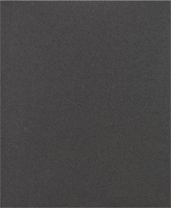 Immagine prodotto Bosch Professional Zubehör Foglio abrasivo C355, foglio abrasivo in carta, 230 x 280 mm, 120 (120)