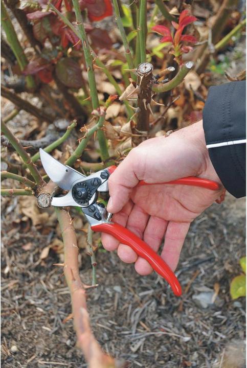Produktbild Felco 11 Bypass Gartenschere für grosse Hände, für Rechtshänder