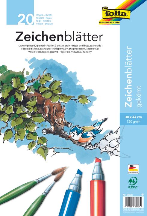 Actual product image Folia Drawing sheets grained 120g/m², 30x44cm (120 g/m²)