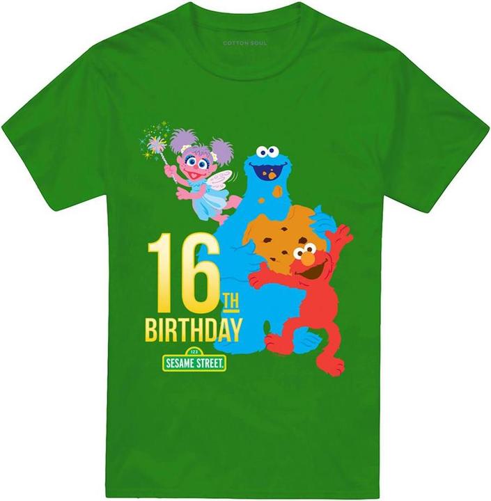 Produktbild Sesame Street TShirt 16. Geburtstag (XXL)