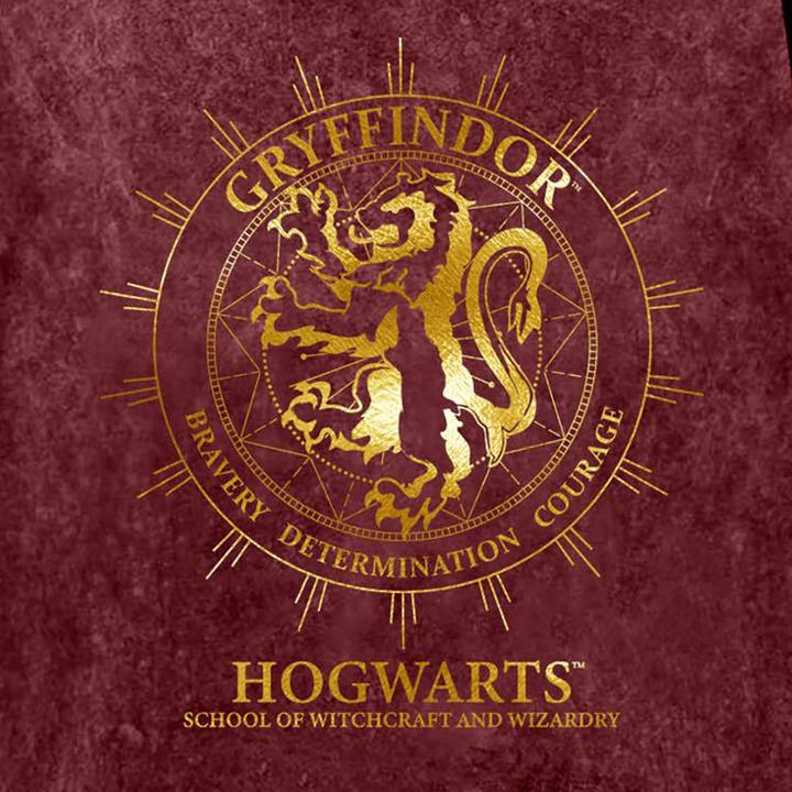 Produktbild Gryffindor Constellation TShirt (M)