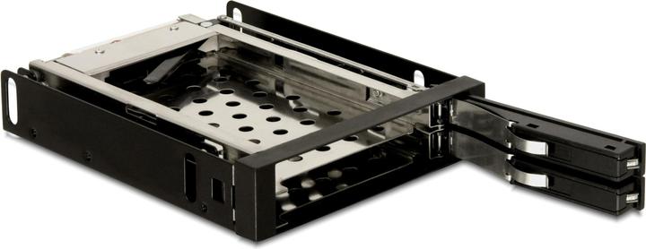 Delock Wechselrahmen für 2 x 2.5"HDD/SDD