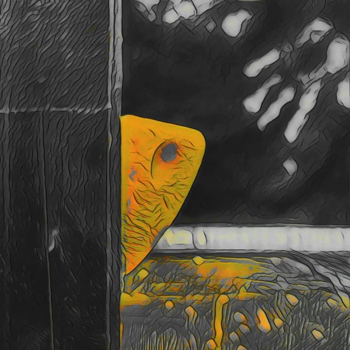 Immagine prodotto Steilstein 9-er Set Standrecht für alle! (Colore desiderato)