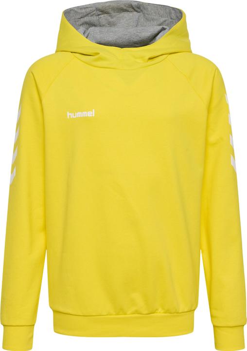 Image du produit hummel Go Kids Hoodie En Coton (164)