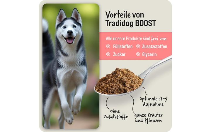 Produktbild TradiDog Boost (1 Stk., 700 g)
