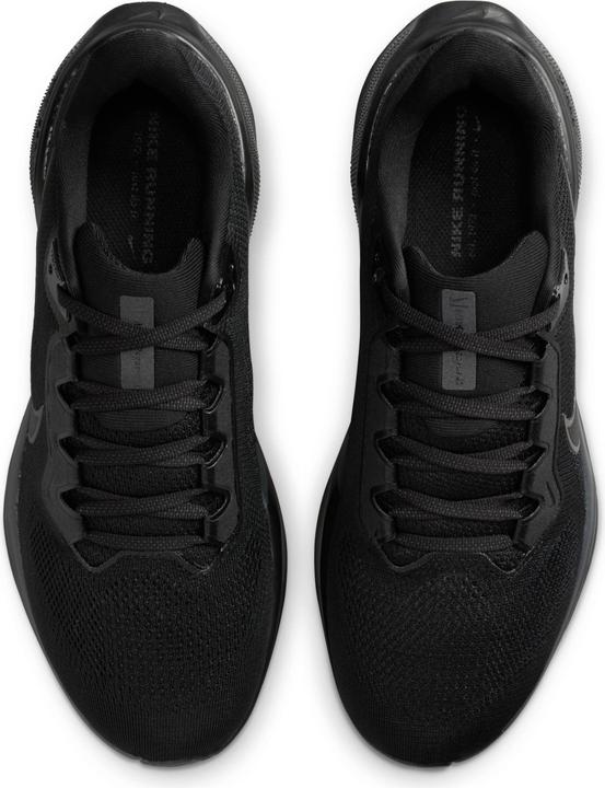 Image du produit Nike Pegasus 41 (42)