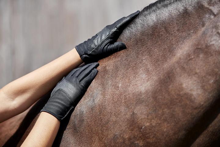 Produktbild Equipage Karla gloves (XL)