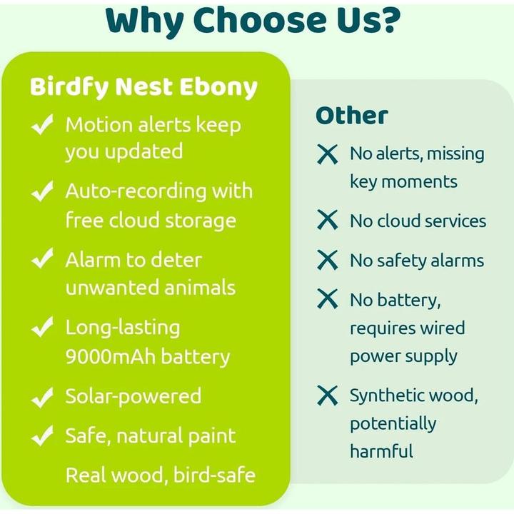 Actual product image Birdfy Vogelhaus Nistkasten mit Kamera und Solar