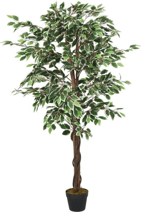 Produktbild vidaXL Giulia (80 cm)