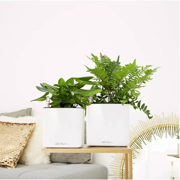 Produktbild Lechuza Cube Glossy 16 (16 x 16 x 16 cm)