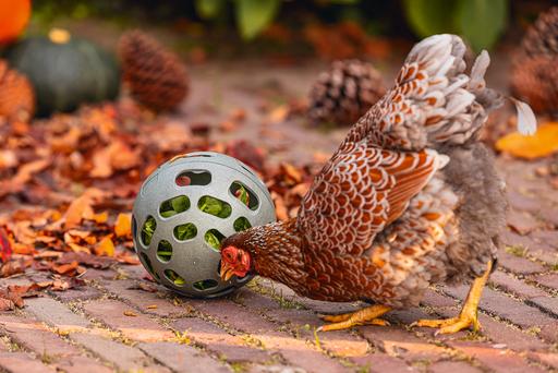 Produktbild Beeztees Huehner Snackball