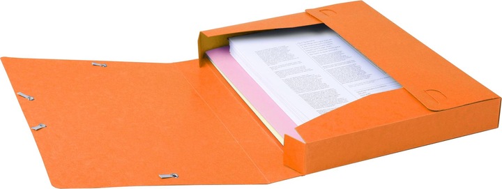 Actual product image Exacompta Archive boxes (A4)