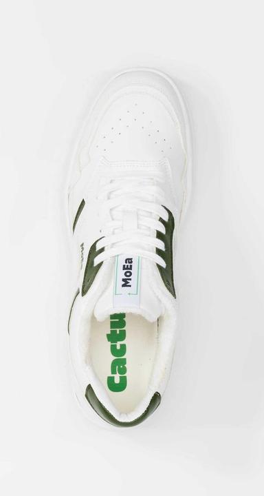 Actual product image MoEa Cactus (36)