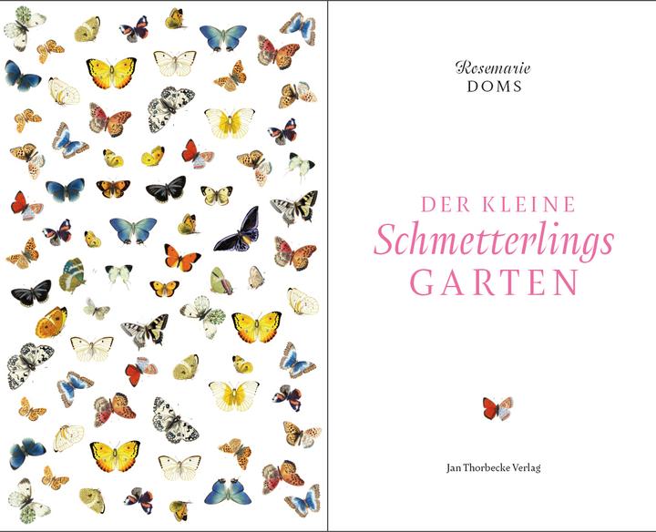 Produktbild Der kleine Schmetterlingsgarten (Deutsch, Rosemarie Doms, 2017)