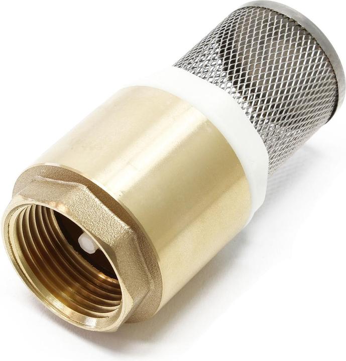 Wiltec Laiton Clapet pied 33,7mm (1") DN25 anti-retour avec crépine d'aspiration en acier inox