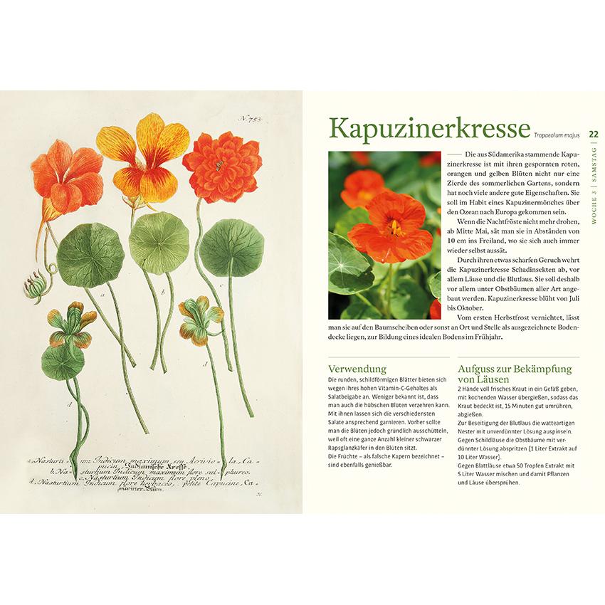 Thumbnail - Kraftquelle Klostergarten, Sachbücher von Christa Weinrich