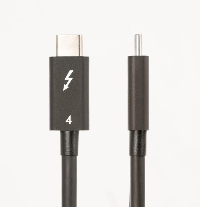 Image du produit StarTech CÂBLE THUNDERBOLT DE 1.6FT (50CM) (0.50 m, USB 4.0, 100 W)